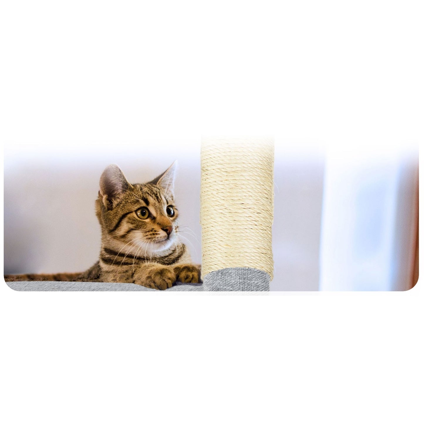 Cat scratcher 111 cm PH-005 Pethaus Grey