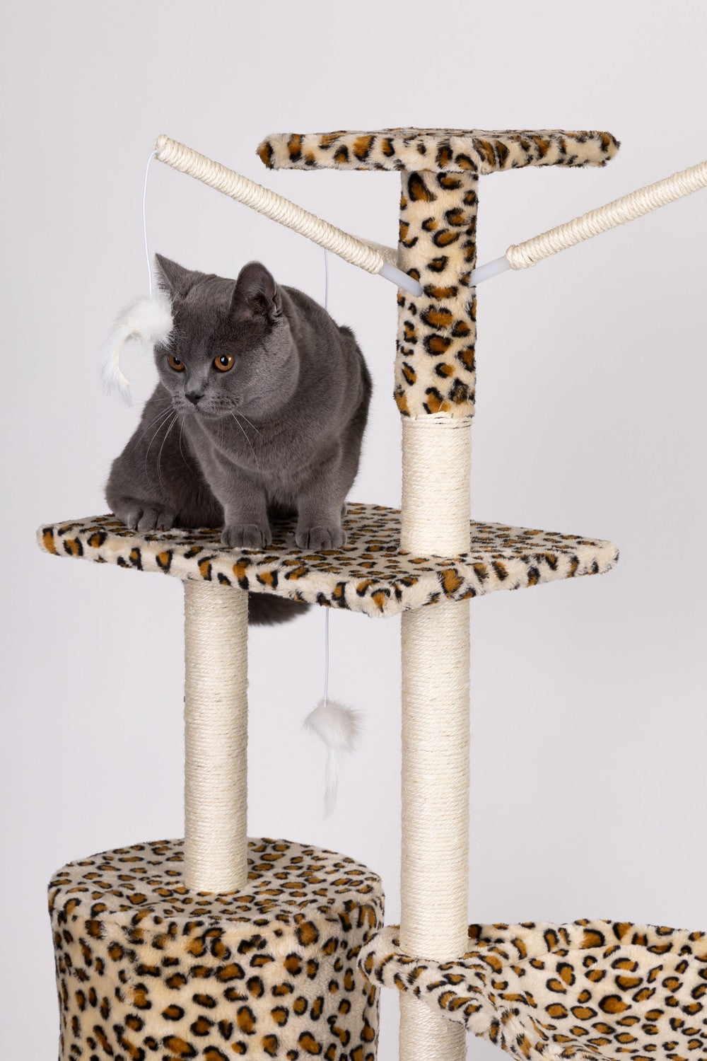 Cat scratcher, house, tree, bed, 138cm xl, Panther