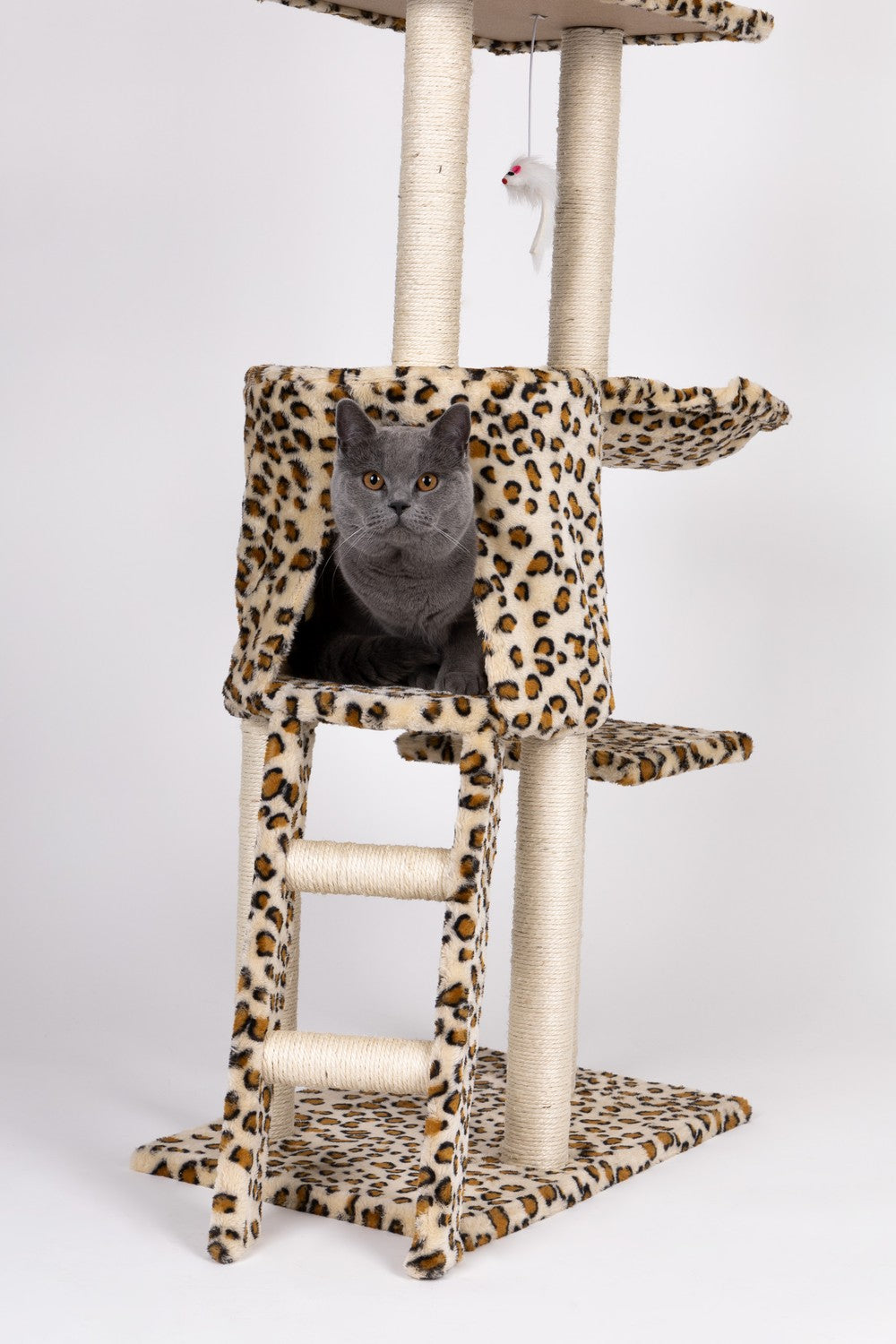 Cat scratcher, house, tree, bed, 138cm xl, Panther