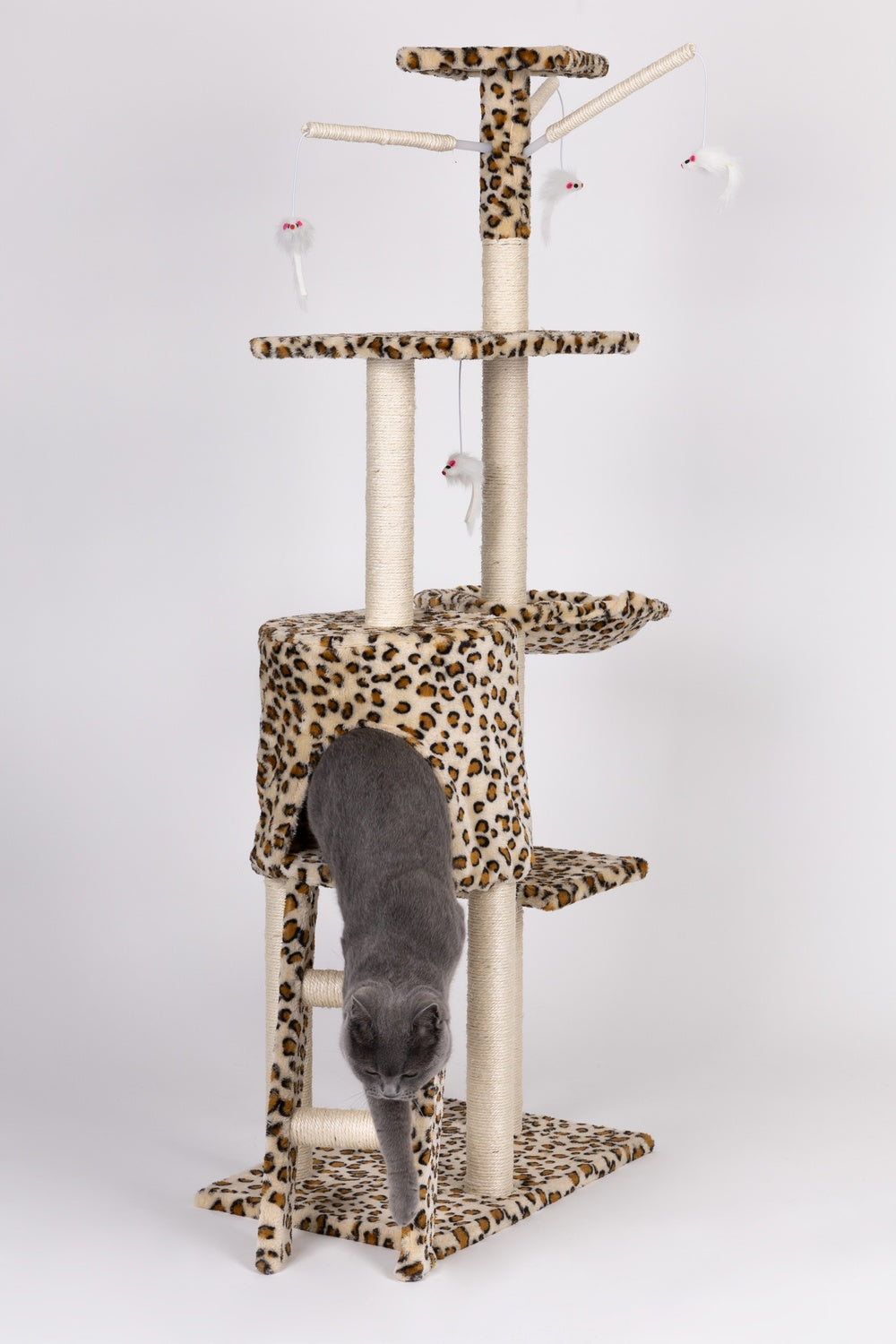 Cat scratcher, house, tree, bed, 138cm xl, Panther