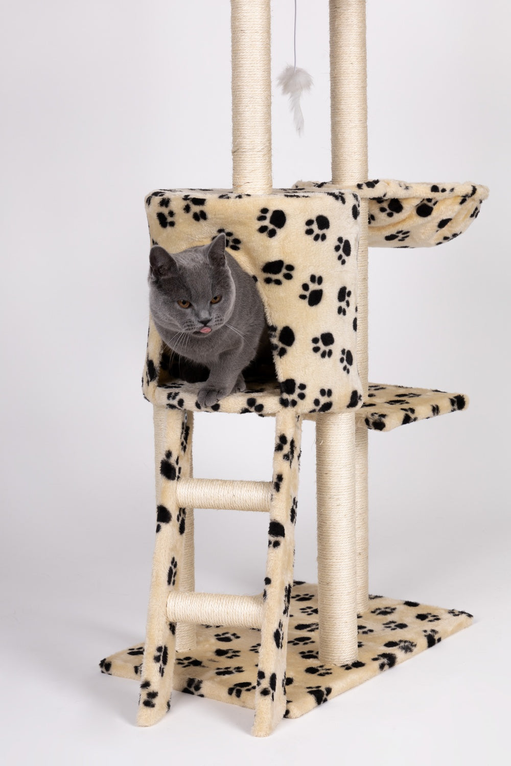 Cat scratcher, house, tree, bed, 138cm xl, Paw prints