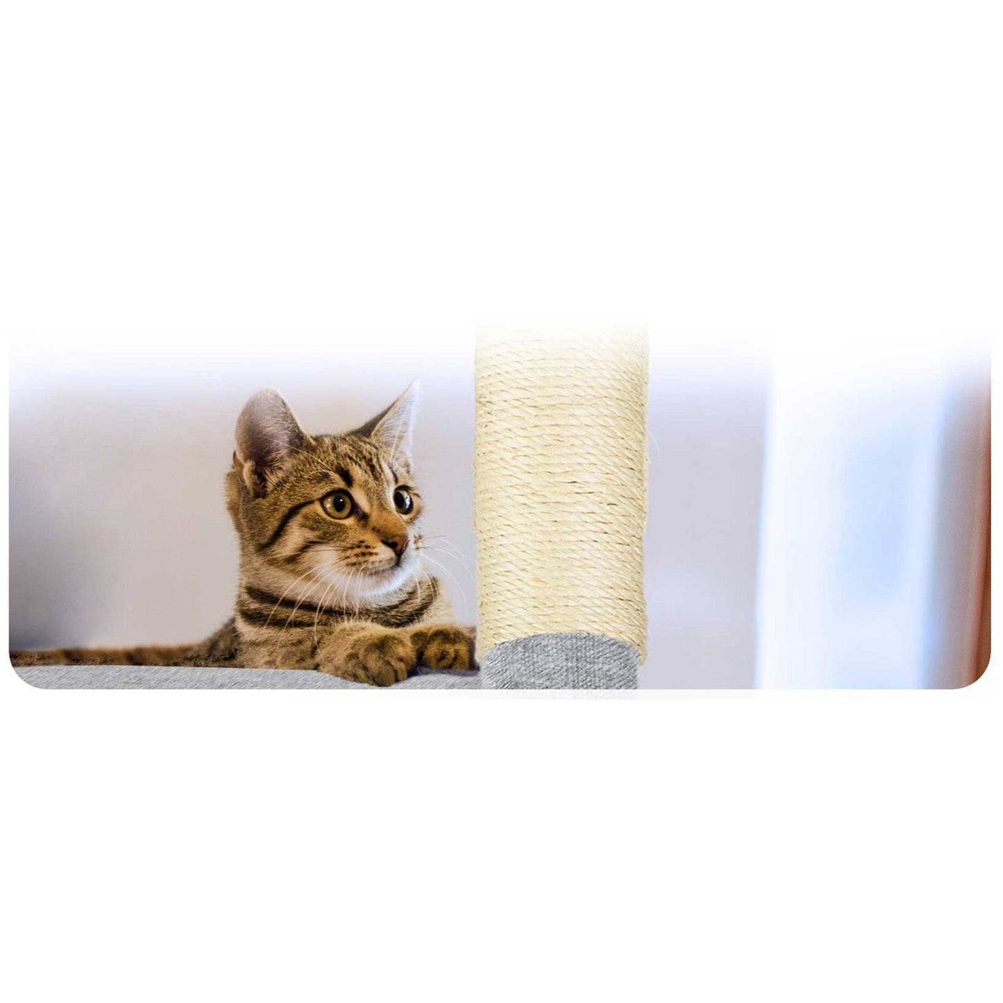 Cat scratching post 79 cm PH-003 Pethaus grey