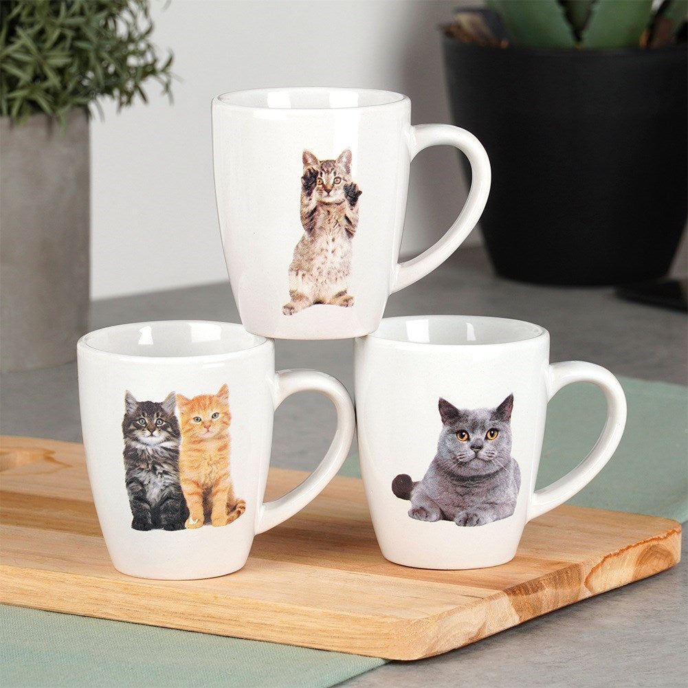 Ceramic mugs cats 220 ml 3 pcs.