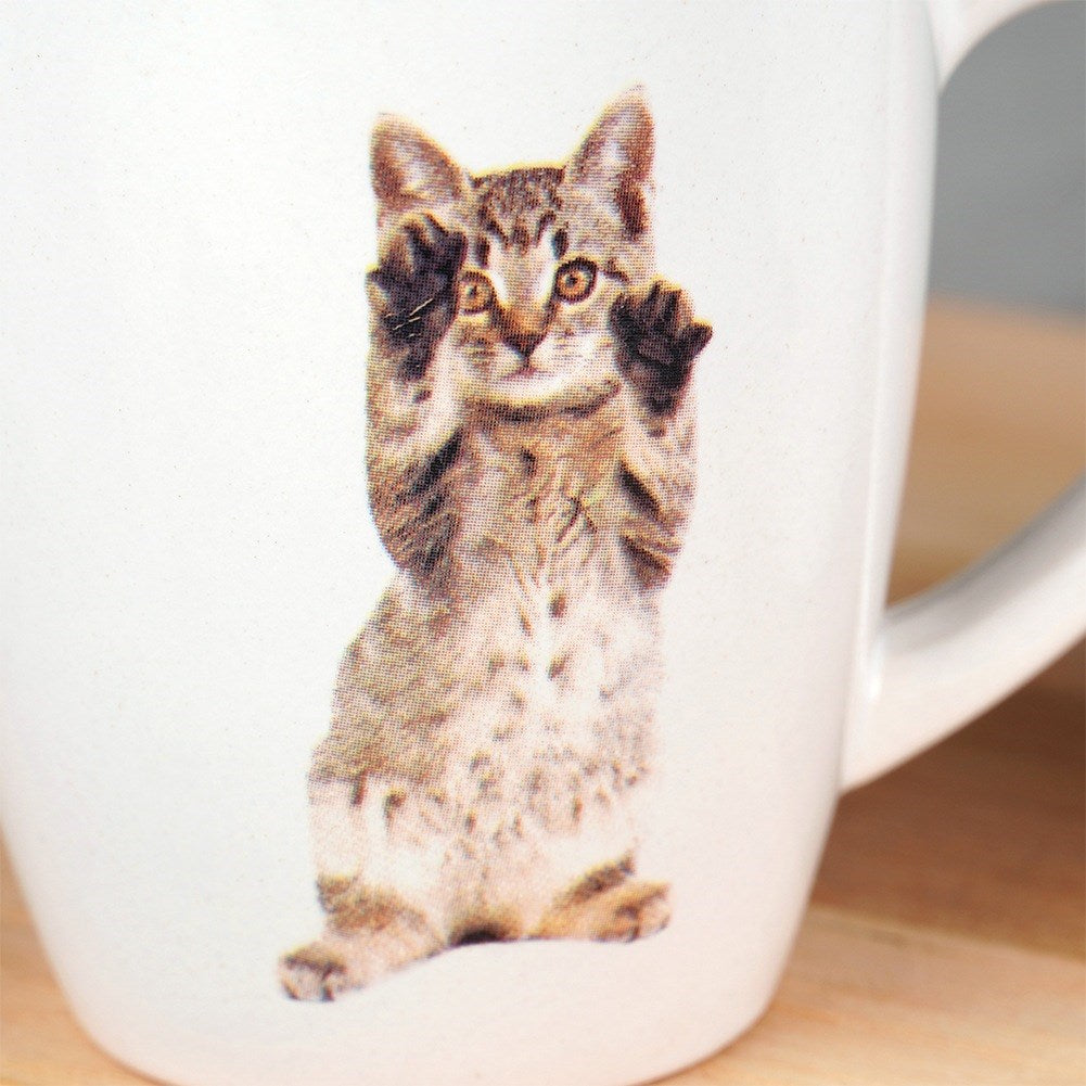 Ceramic mugs cats 220 ml 3 pcs.