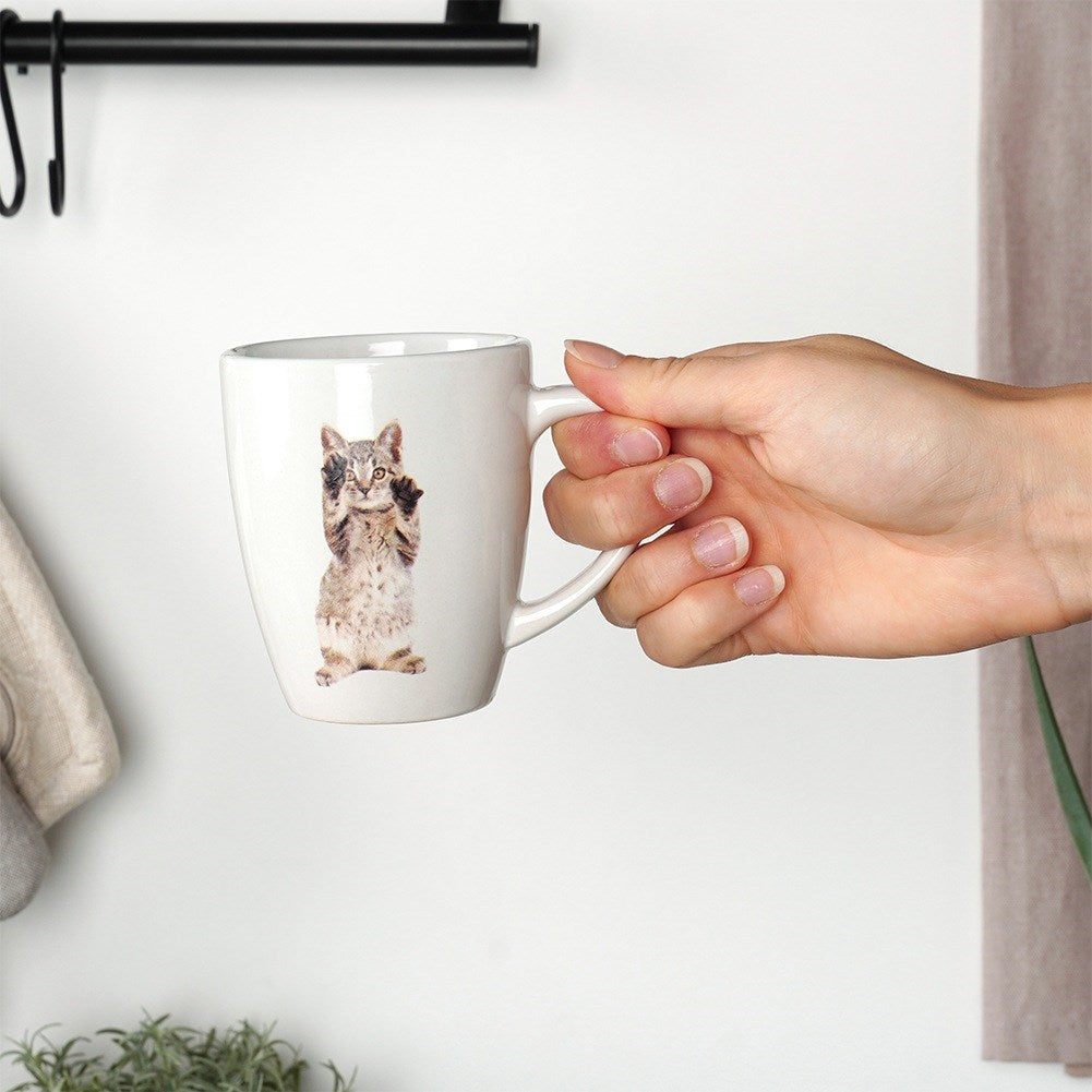 Ceramic mugs cats 220 ml 3 pcs.