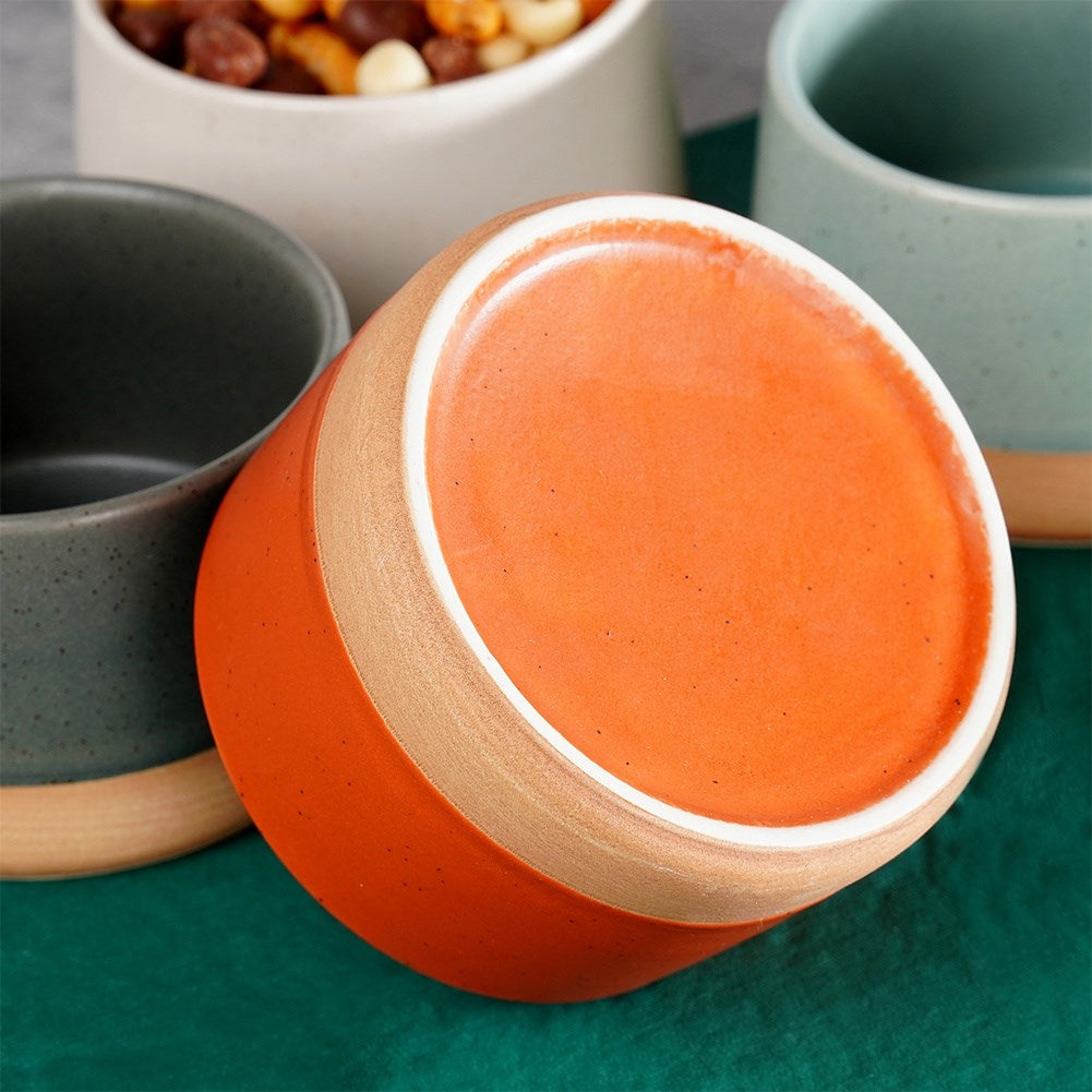 Ceramic snack bowls 9.5 cm, 220 ml 4 pcs.