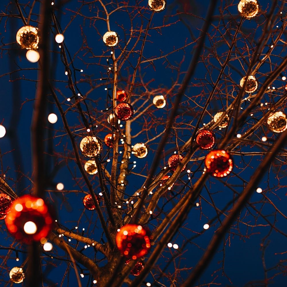 Christmas lighting 20m warm white, green cable, indoor/outdoor