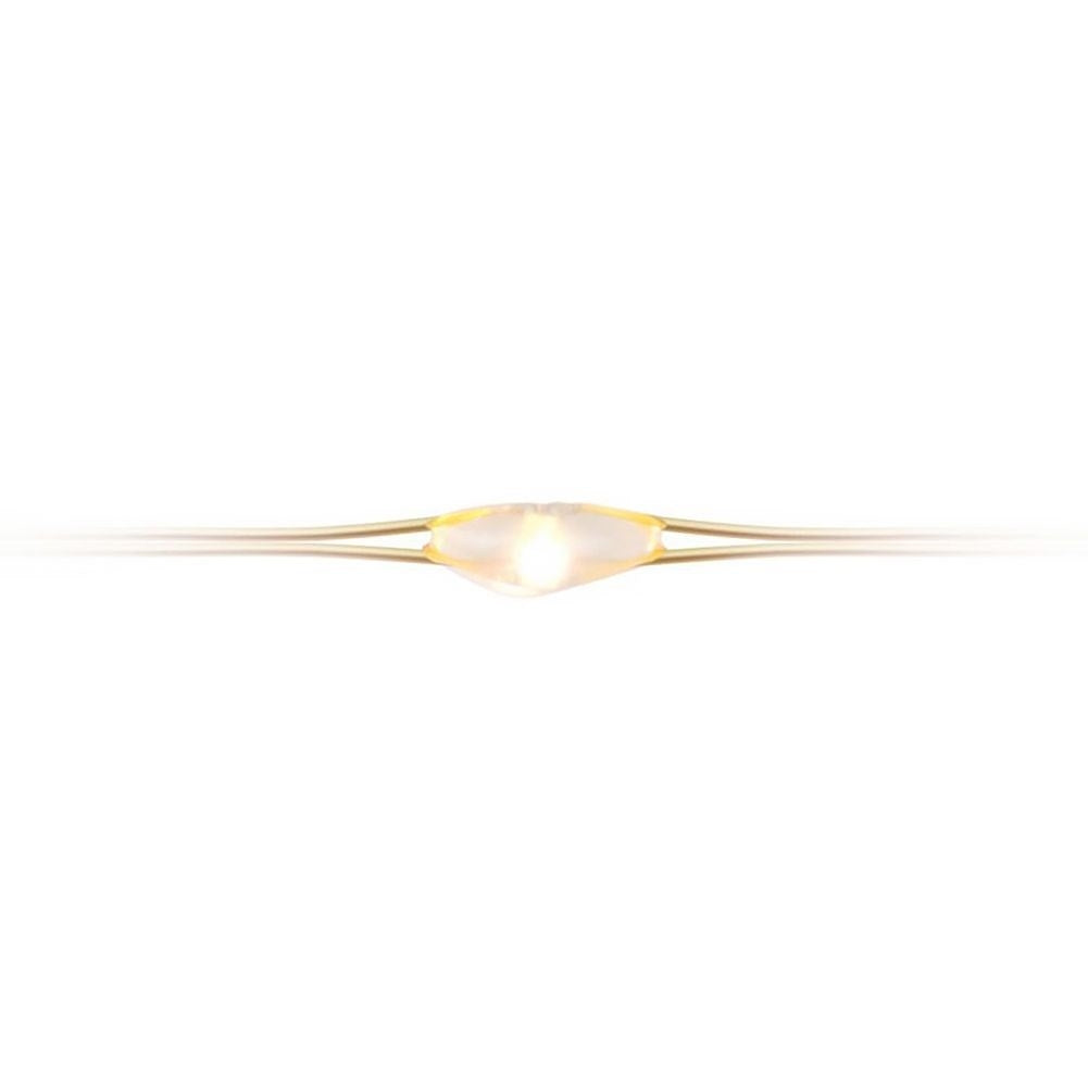 Christmas lighting with 40 warm white LED lights on gold wire