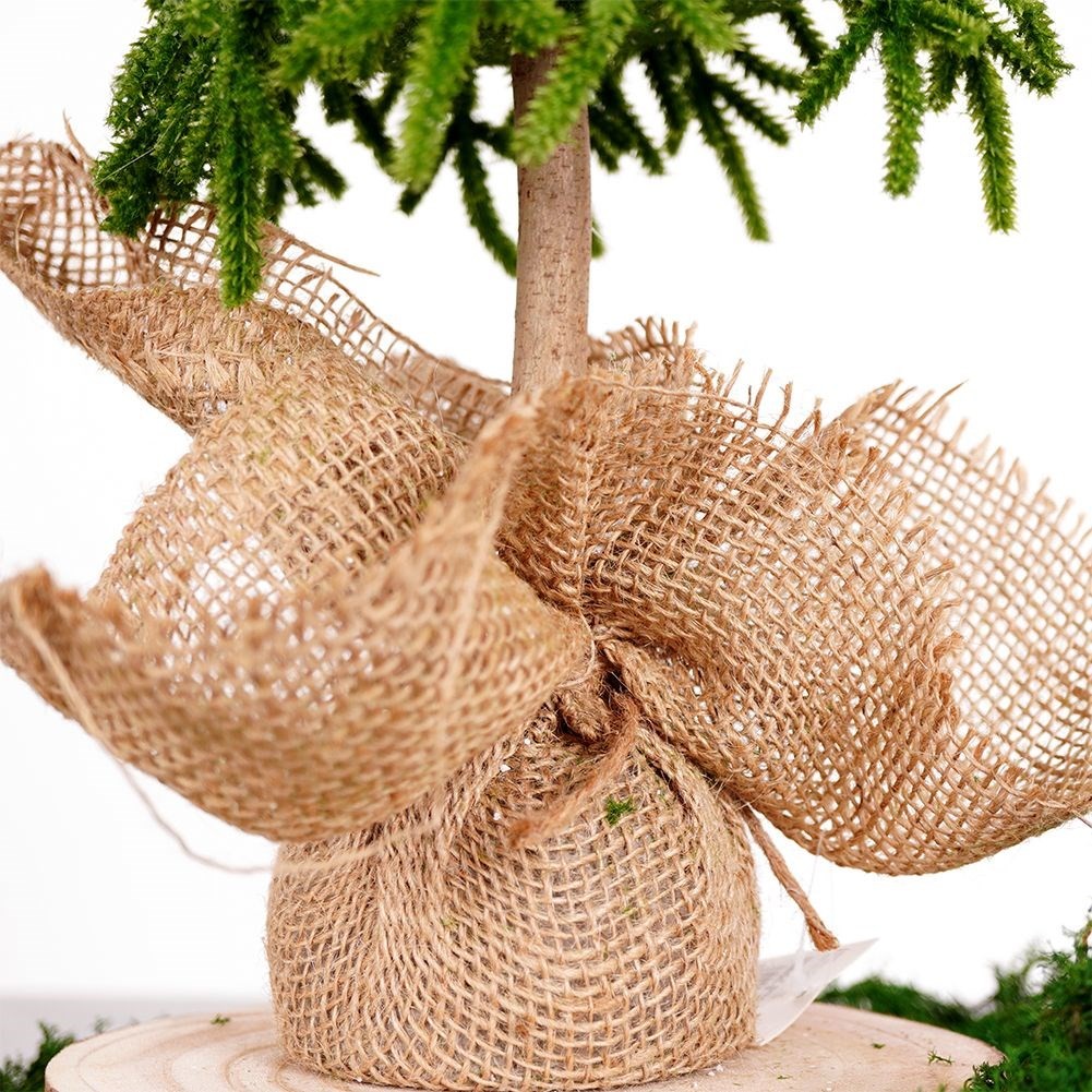 Christmas tree with artificial snow, jute sack and concrete base, height 55 cm
