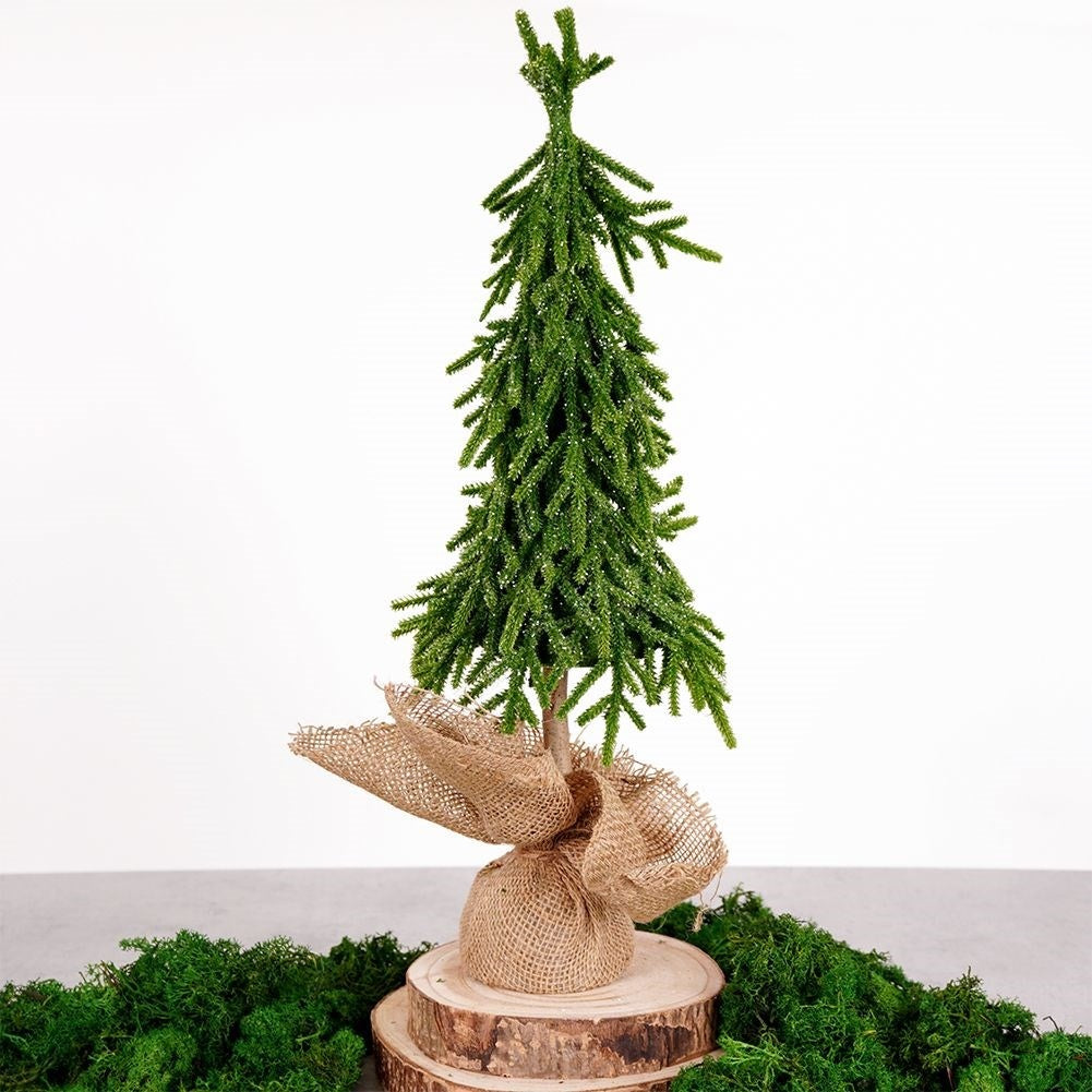 Christmas tree with artificial snow, jute sack and concrete base, height 55 cm