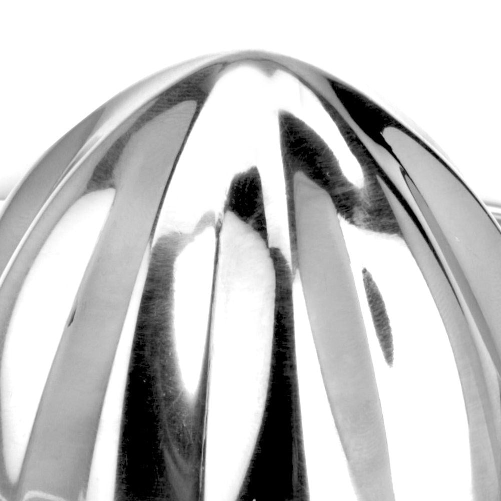Citrus press in stainless steel with container