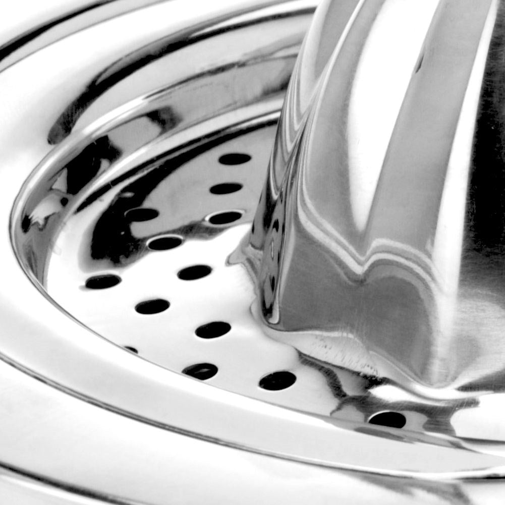Citrus press in stainless steel with container