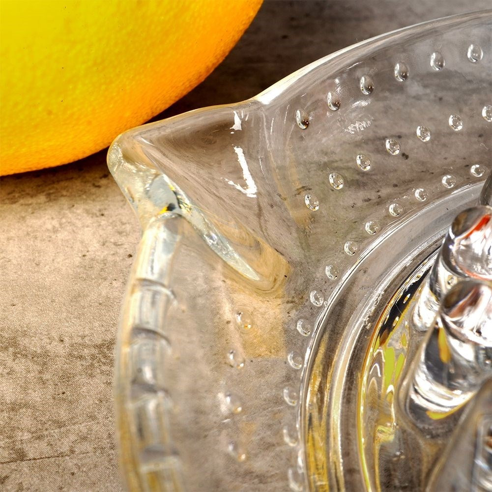Citrus press with handle and spout