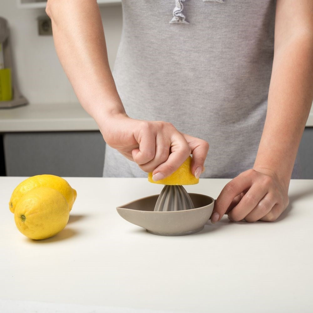 Citrus press with handle and spout