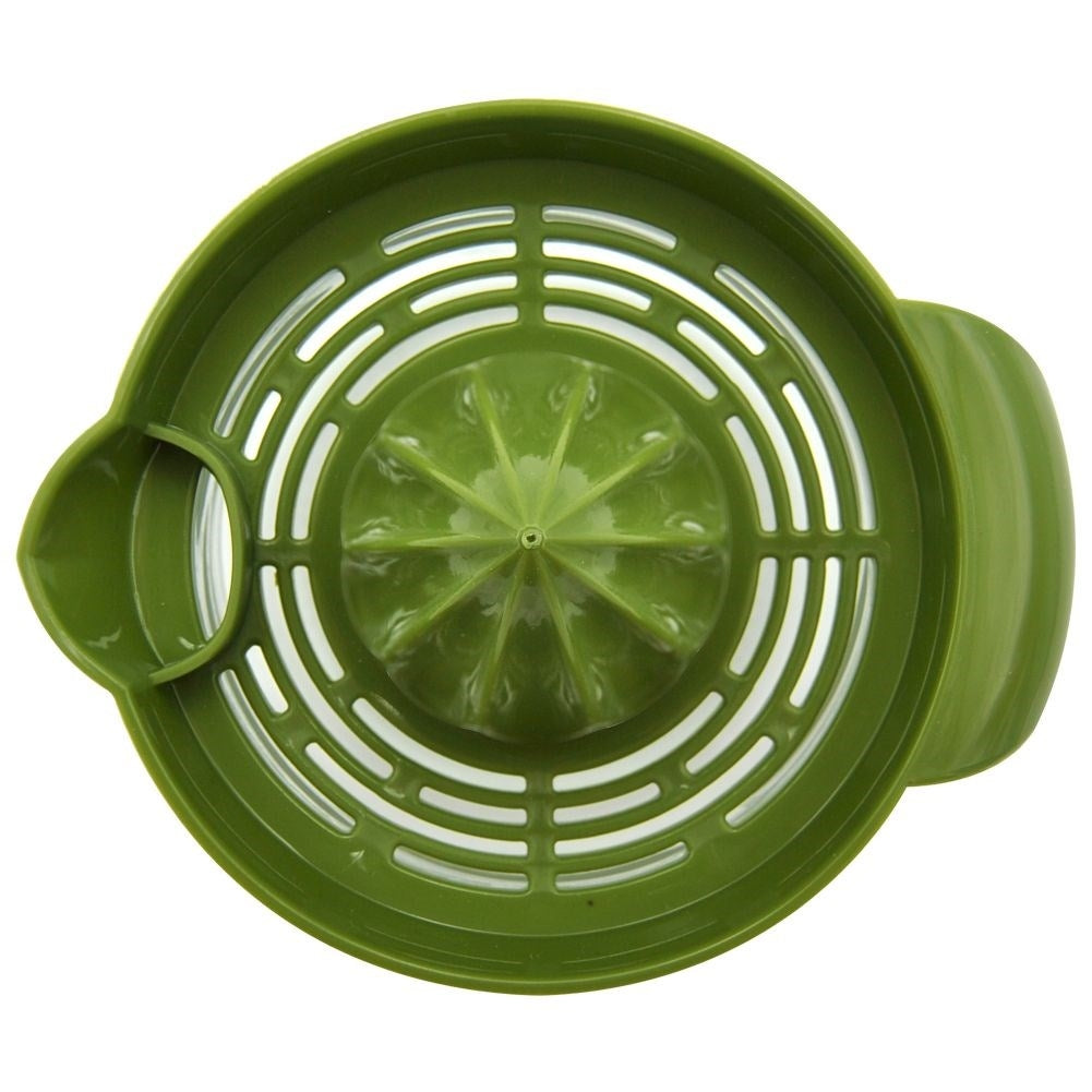 Citrus press with spout and glass container