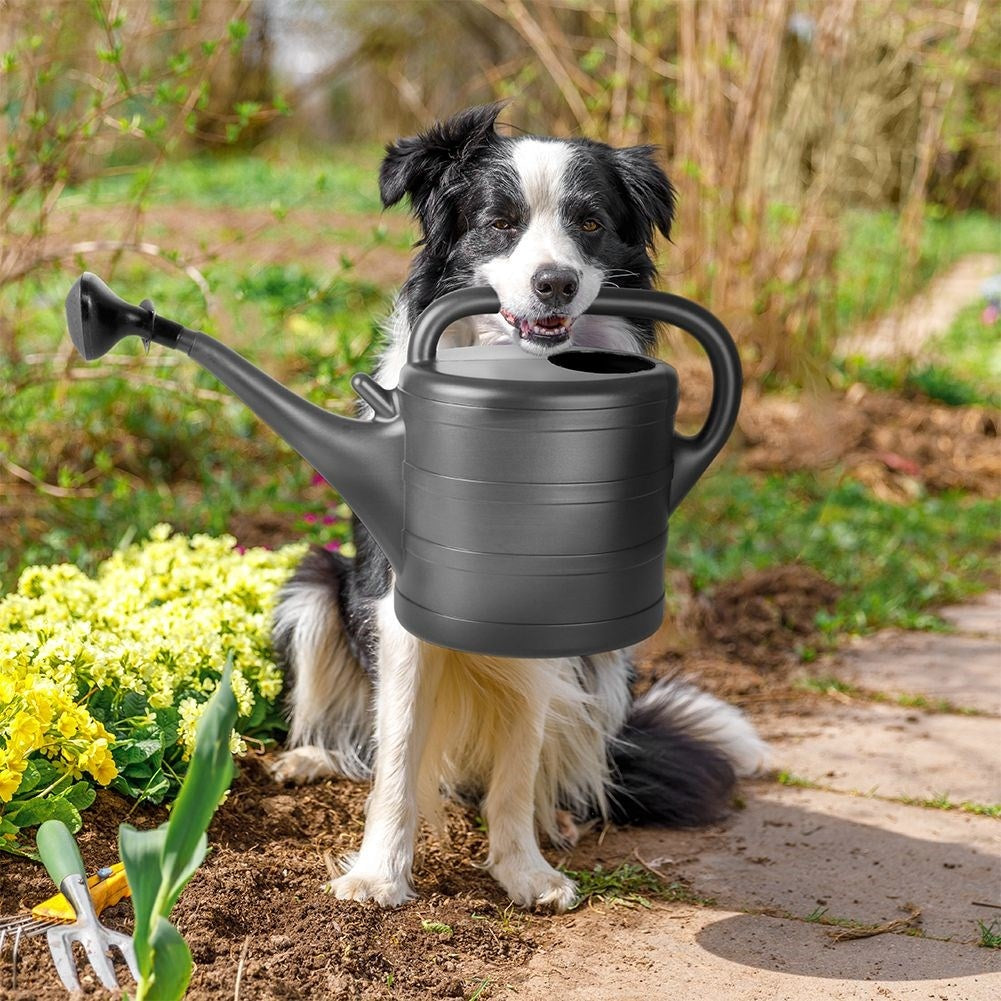 Classic 10L Water Jug in Anthracite with Strainer and Measurements