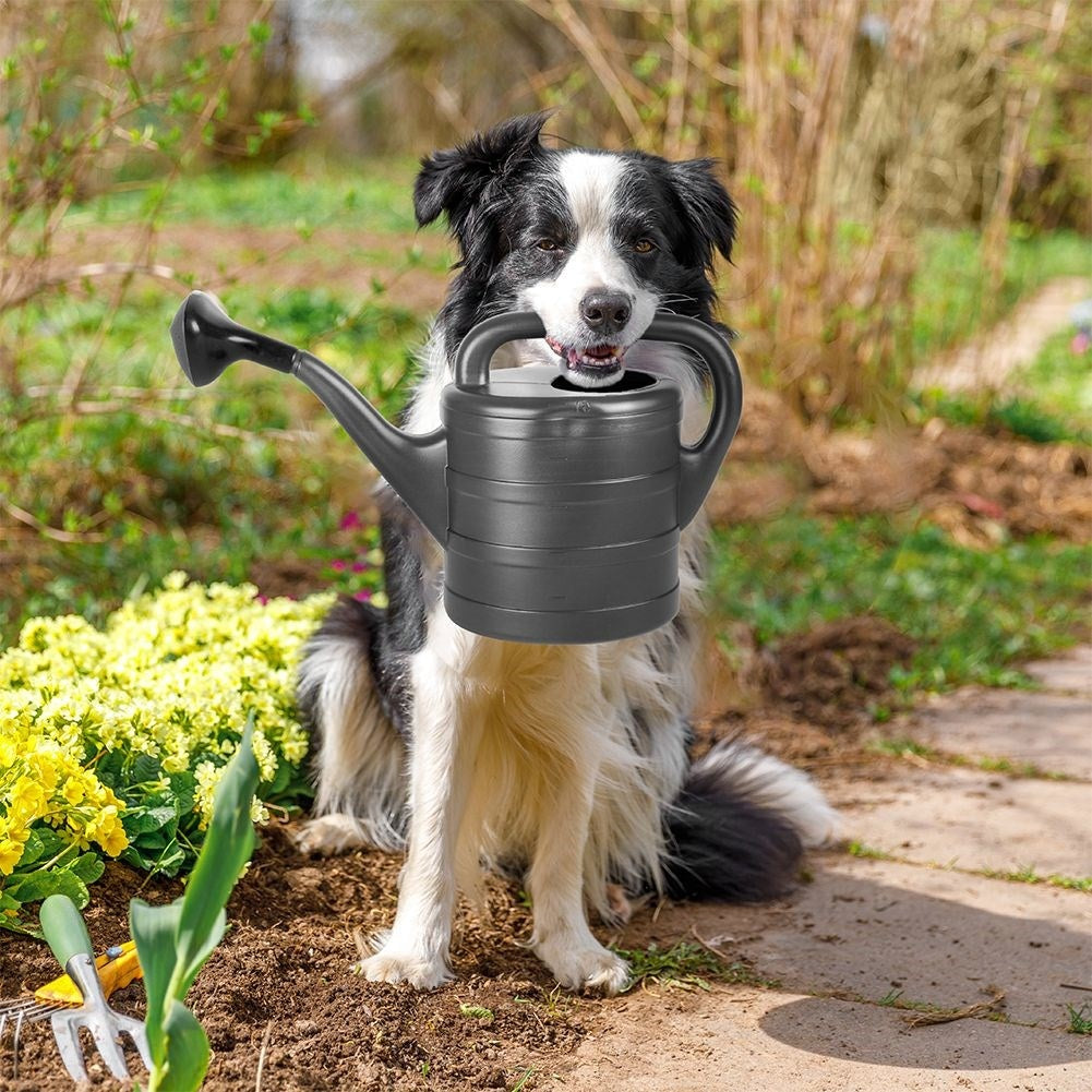 Classic 5L Water Jug in Anthracite with Strainer and Measuring Cup