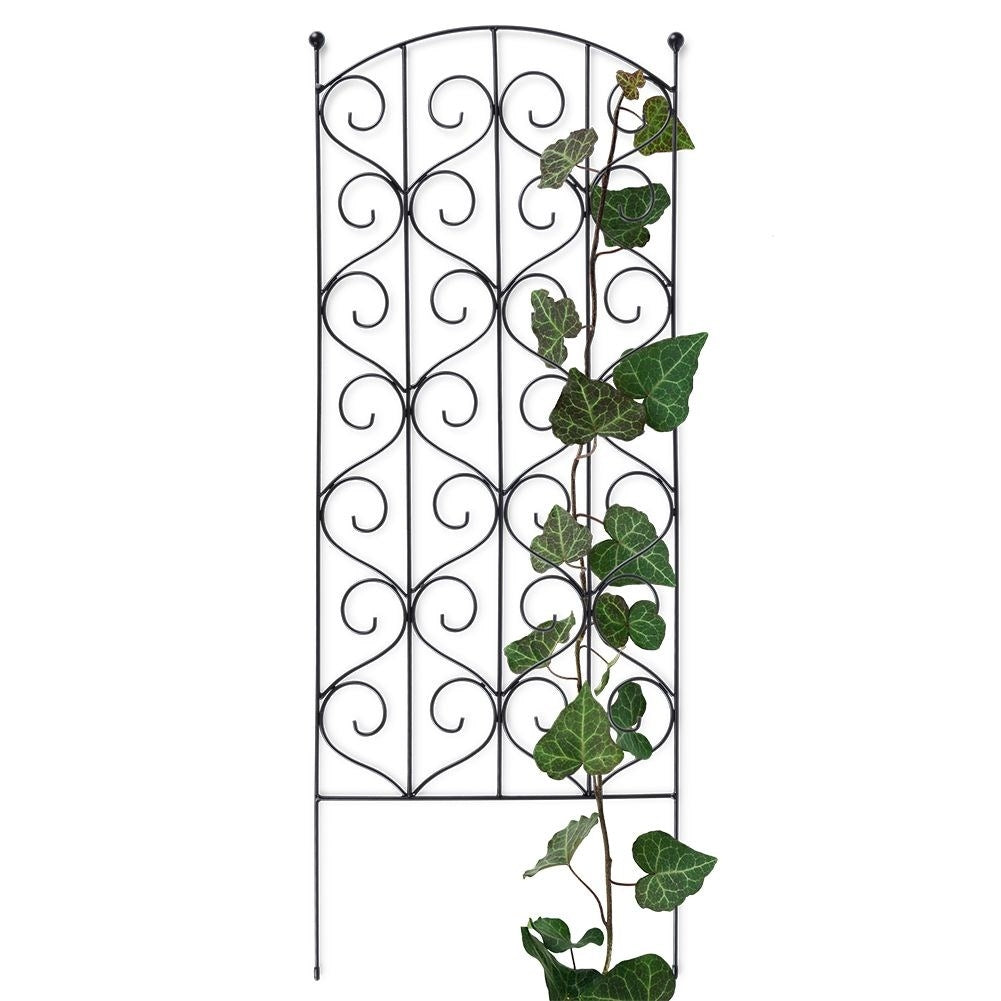 Climbing plant support in black metal for optimal cultivation
