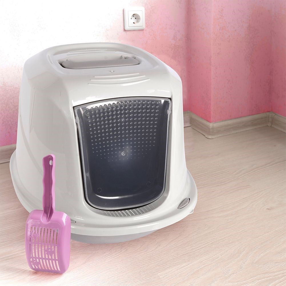 Closed litter box with carbon filter and transport handle