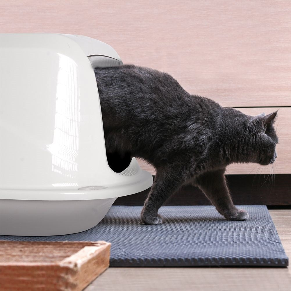 Closed litter box with carbon filter and transport handle