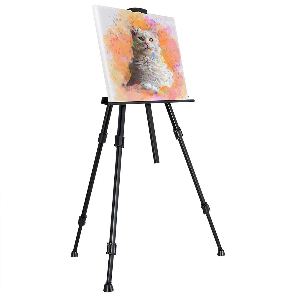 Collapsible Easel with Adjustable Height and Carrying Case