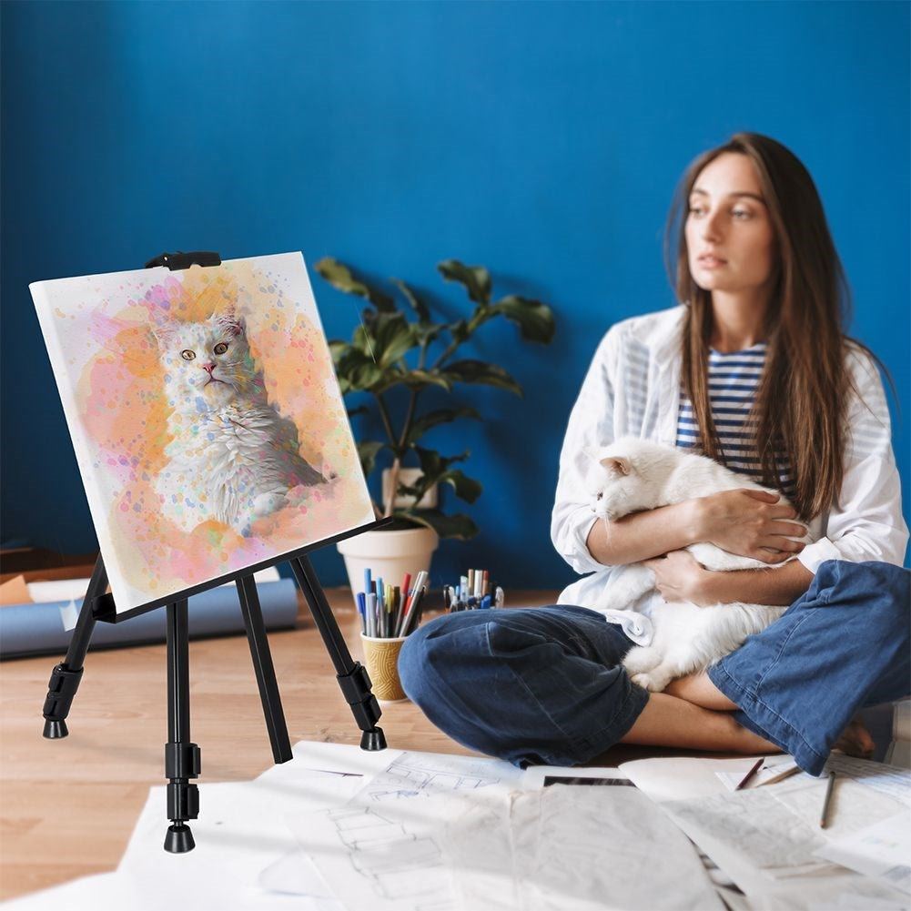 Collapsible Easel with Adjustable Height and Carrying Case