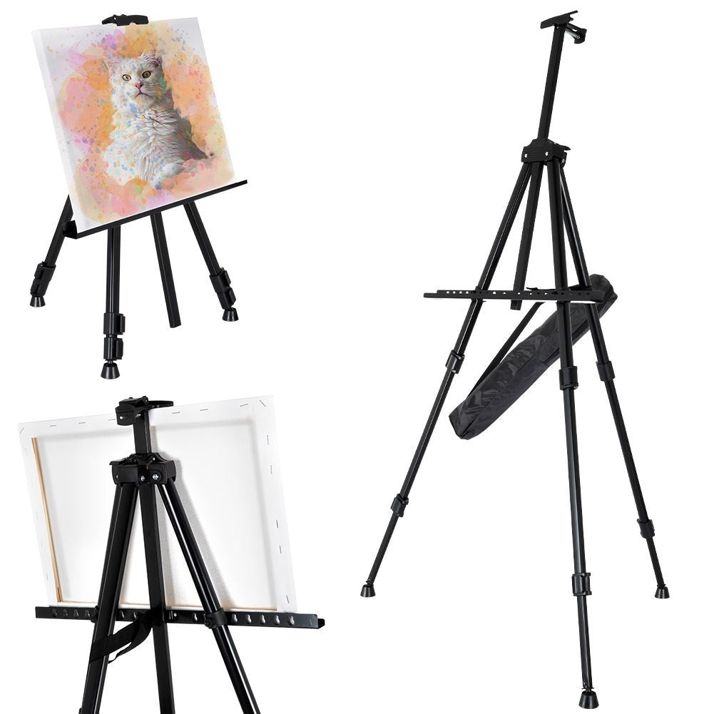 Collapsible Easel with Adjustable Height and Carrying Case