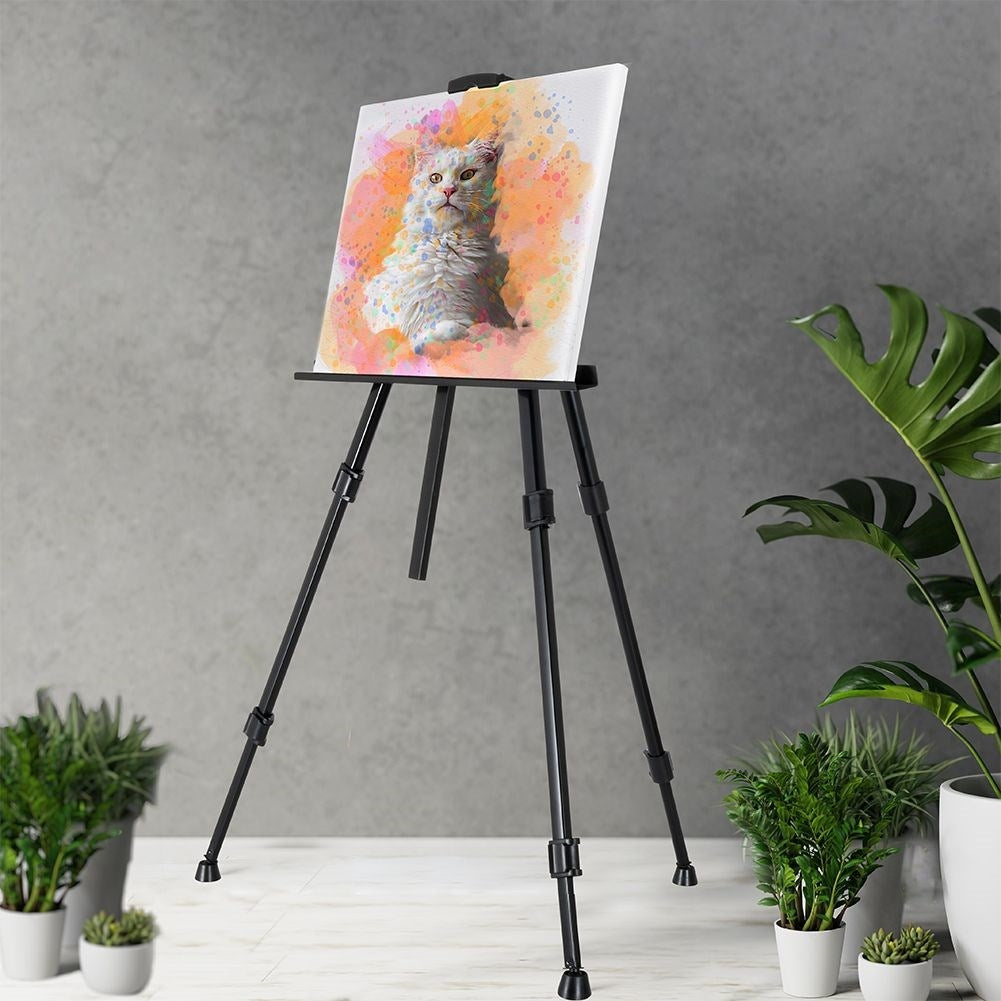 Collapsible Easel with Adjustable Height and Carrying Case