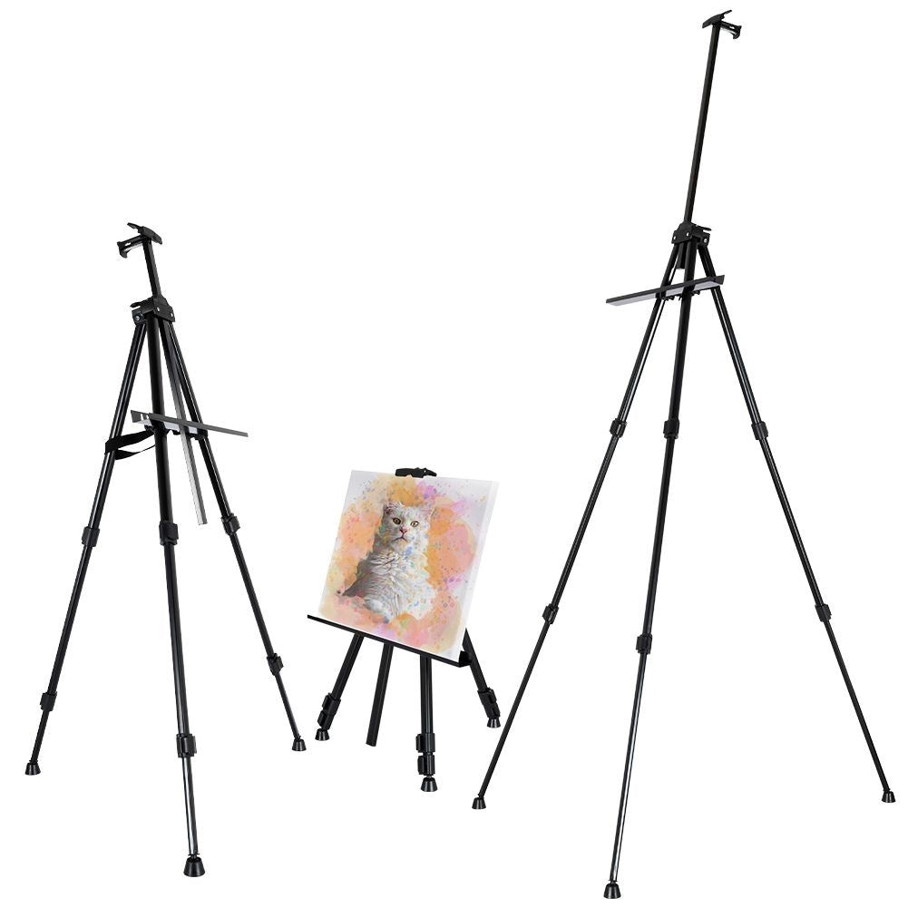 Collapsible Easel with Adjustable Height and Carrying Case
