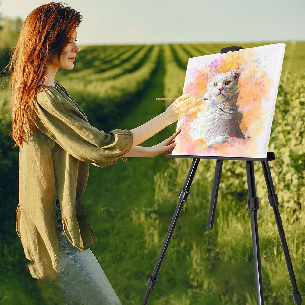 Collapsible Easel with Adjustable Height and Carrying Case