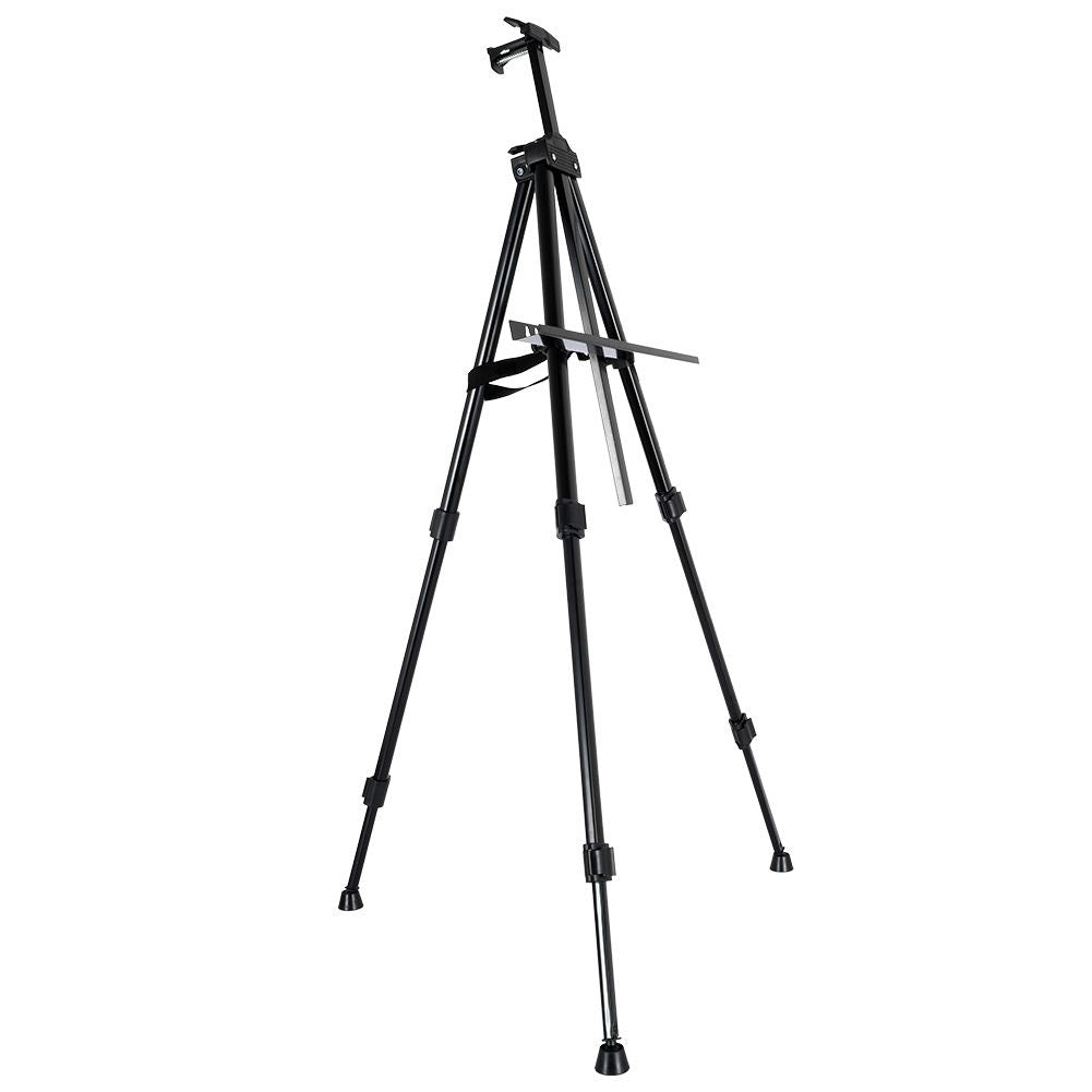 Collapsible Easel with Adjustable Height and Carrying Case