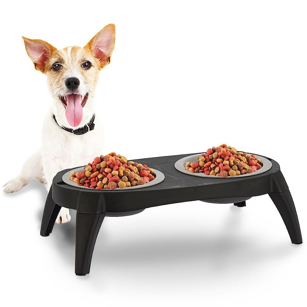 Collapsible food bowl set in silicone for dogs and cats