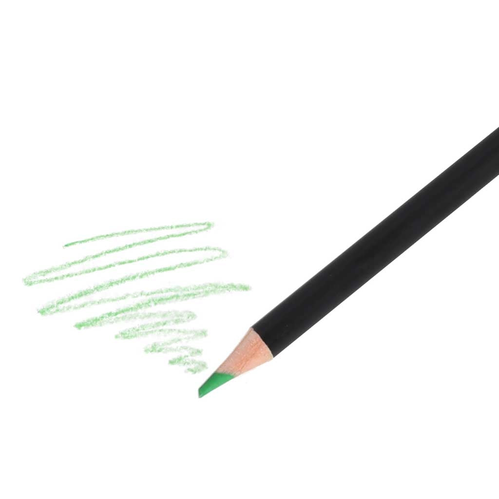 Colored Pencil Set with Case – 120 Pieces