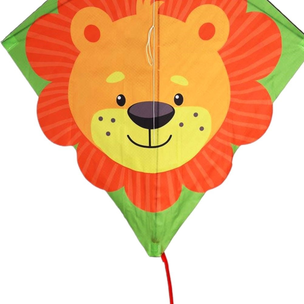 Colorful Dragon with Lion motif and 30 Meter Line