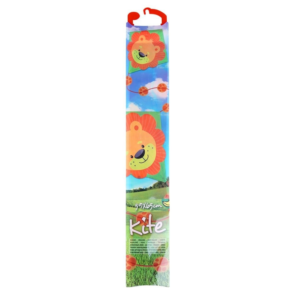 Colorful Dragon with Lion motif and 30 Meter Line