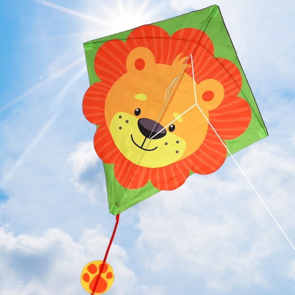 Colorful Dragon with Lion motif and 30 Meter Line