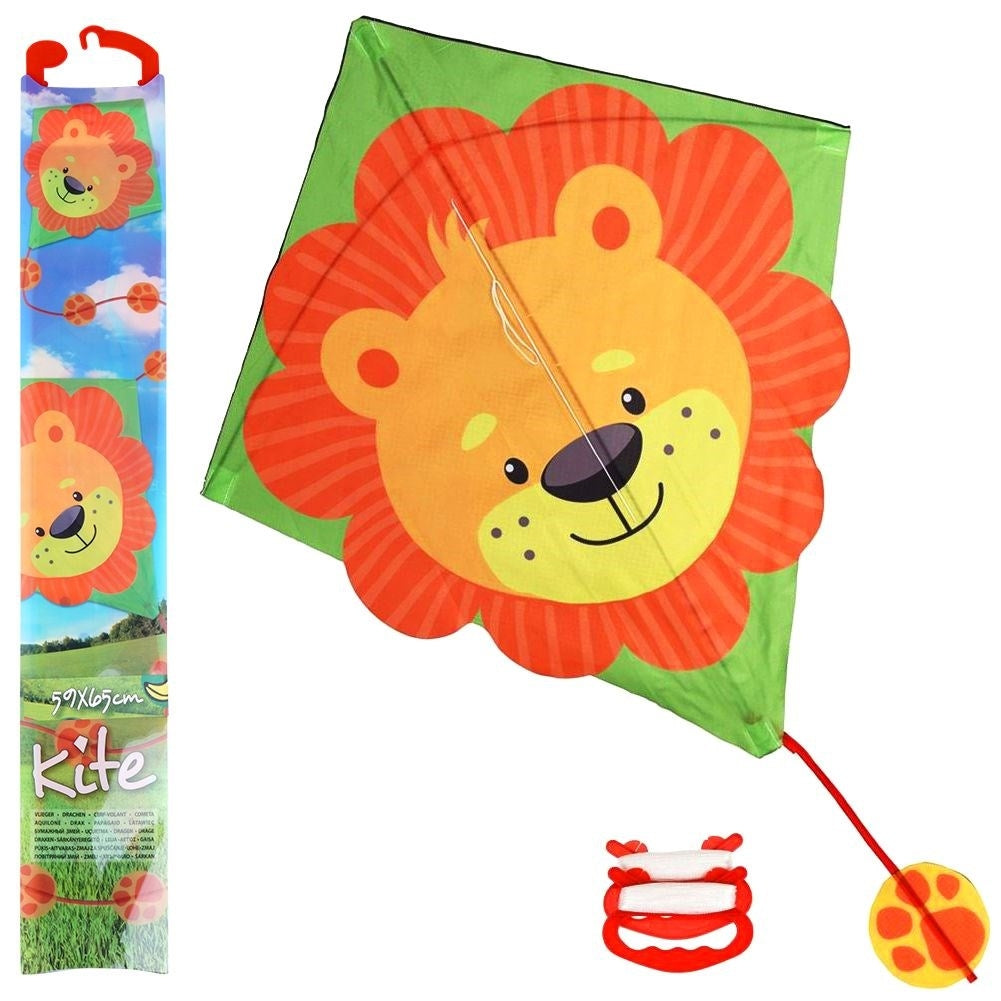 Colorful Dragon with Lion motif and 30 Meter Line
