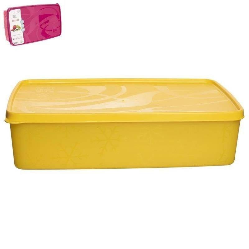 Colorful plastic container for freezer, fridge, microwave and dishwasher