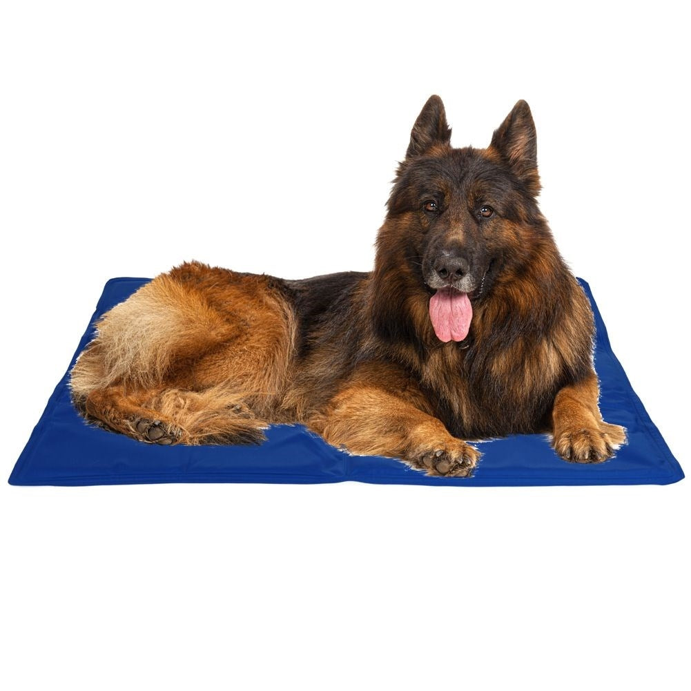 Cooling cooling mat for dogs - Effective summer cooling