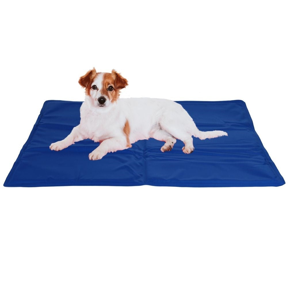 Cooling mat for dogs - coolness and comfort for hot days