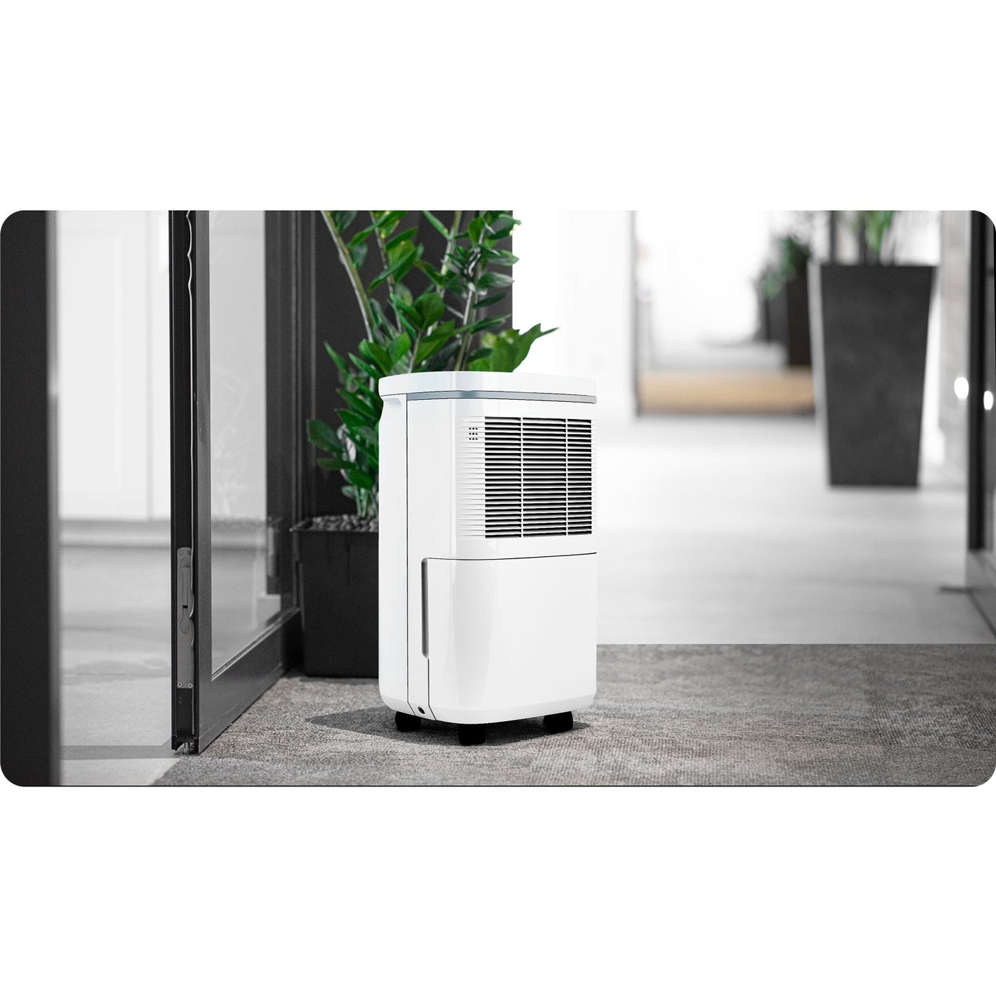 Dehumidifier and Moisture Absorber Berdsen BD-520 White