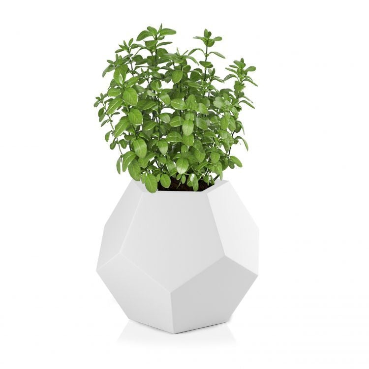 Designer pot ALMA White