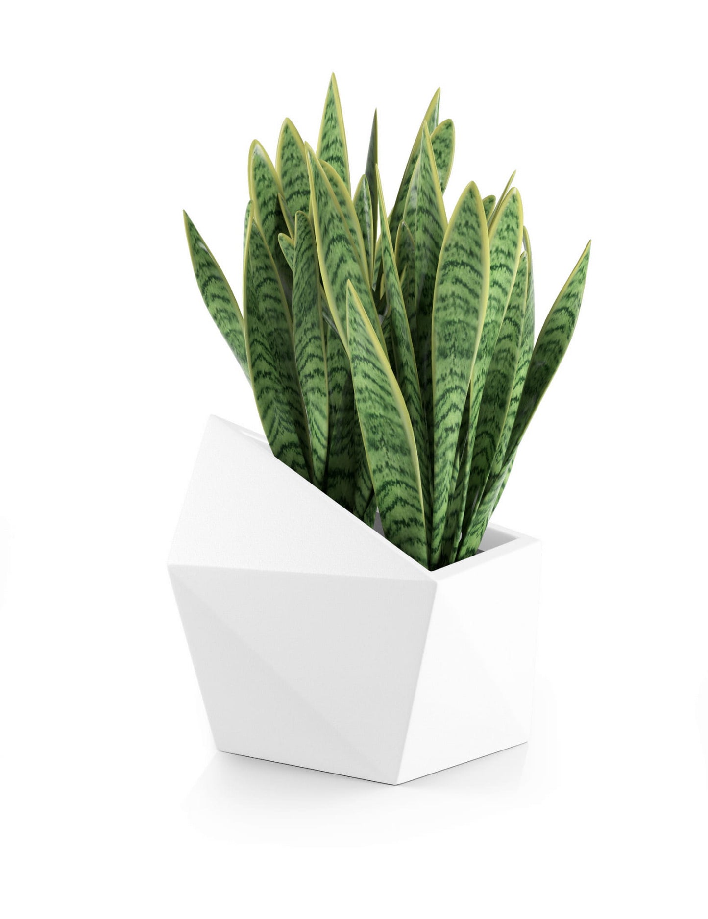 Designer pot ASTRO White