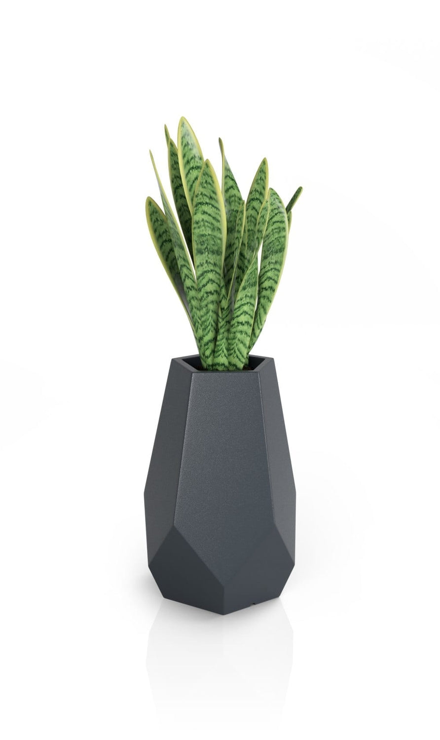 Designer pot BARI Anthracite
