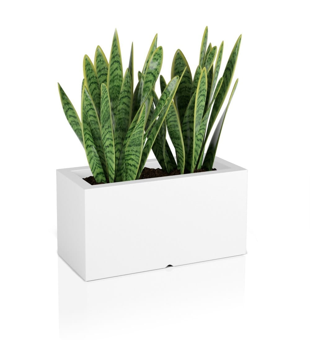Designer pot LUNGO White