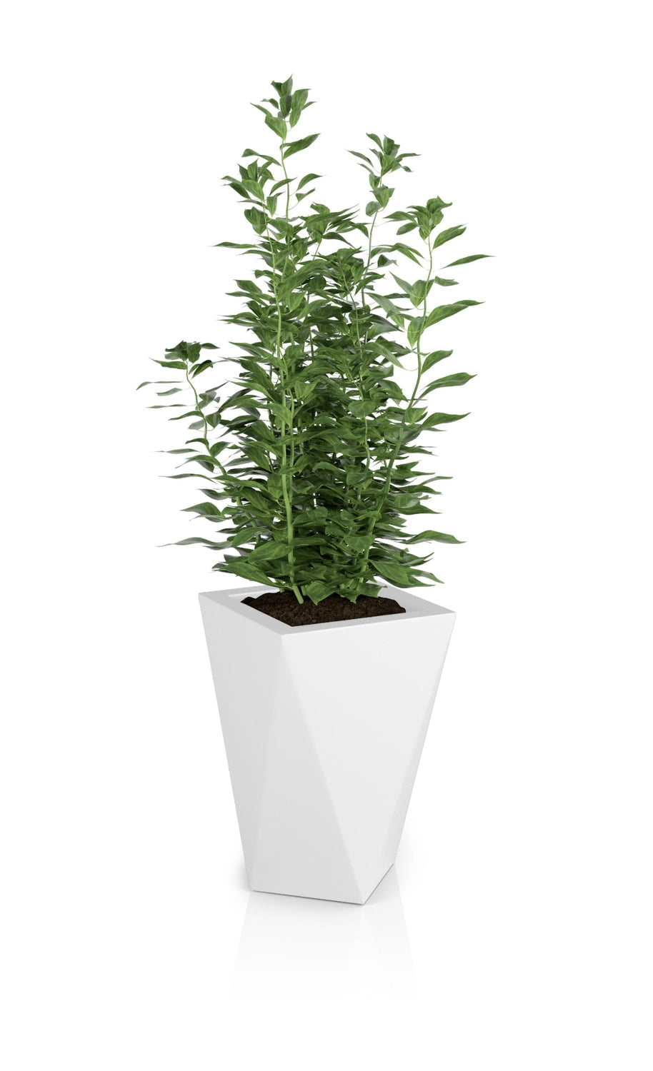 Designer pot VASO White