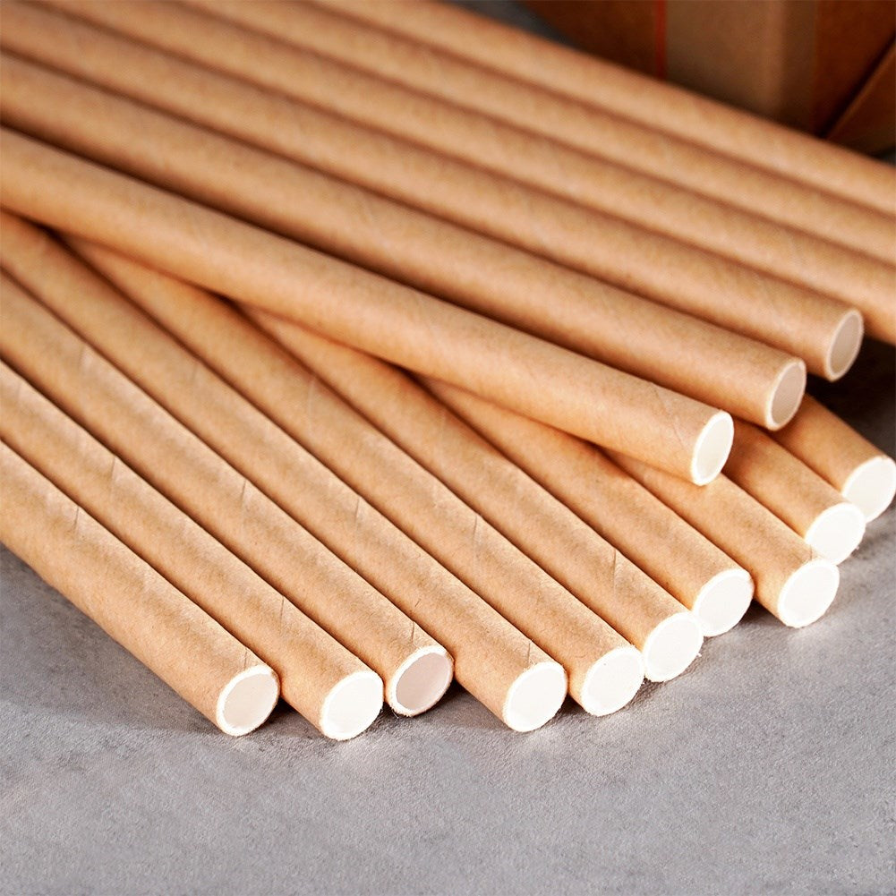 Disposable paper drinking straws 19.5 cm 100 pcs.