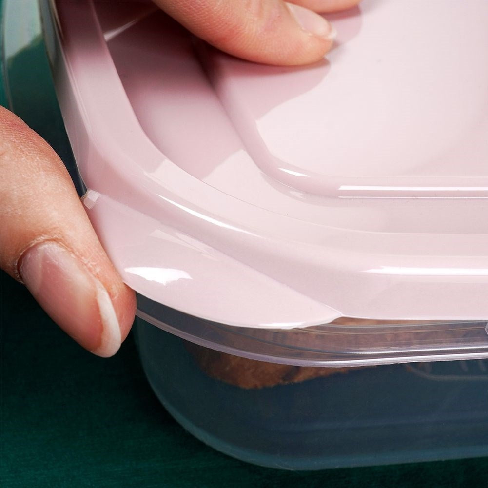 Divided lunchbox with three compartments, dishwasher and microwave safe