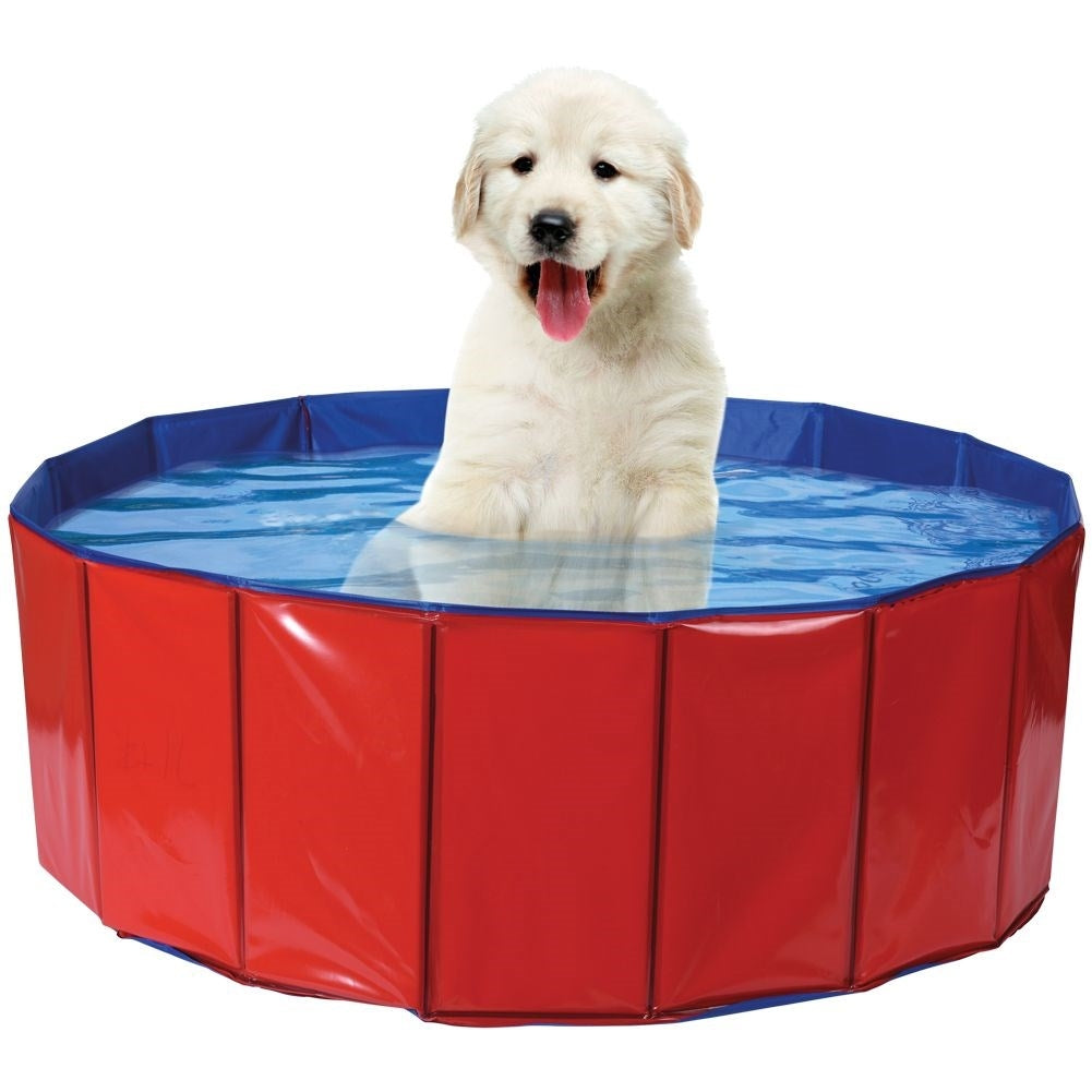 Dog Pool with Reinforced Interior and Water Drain Valve