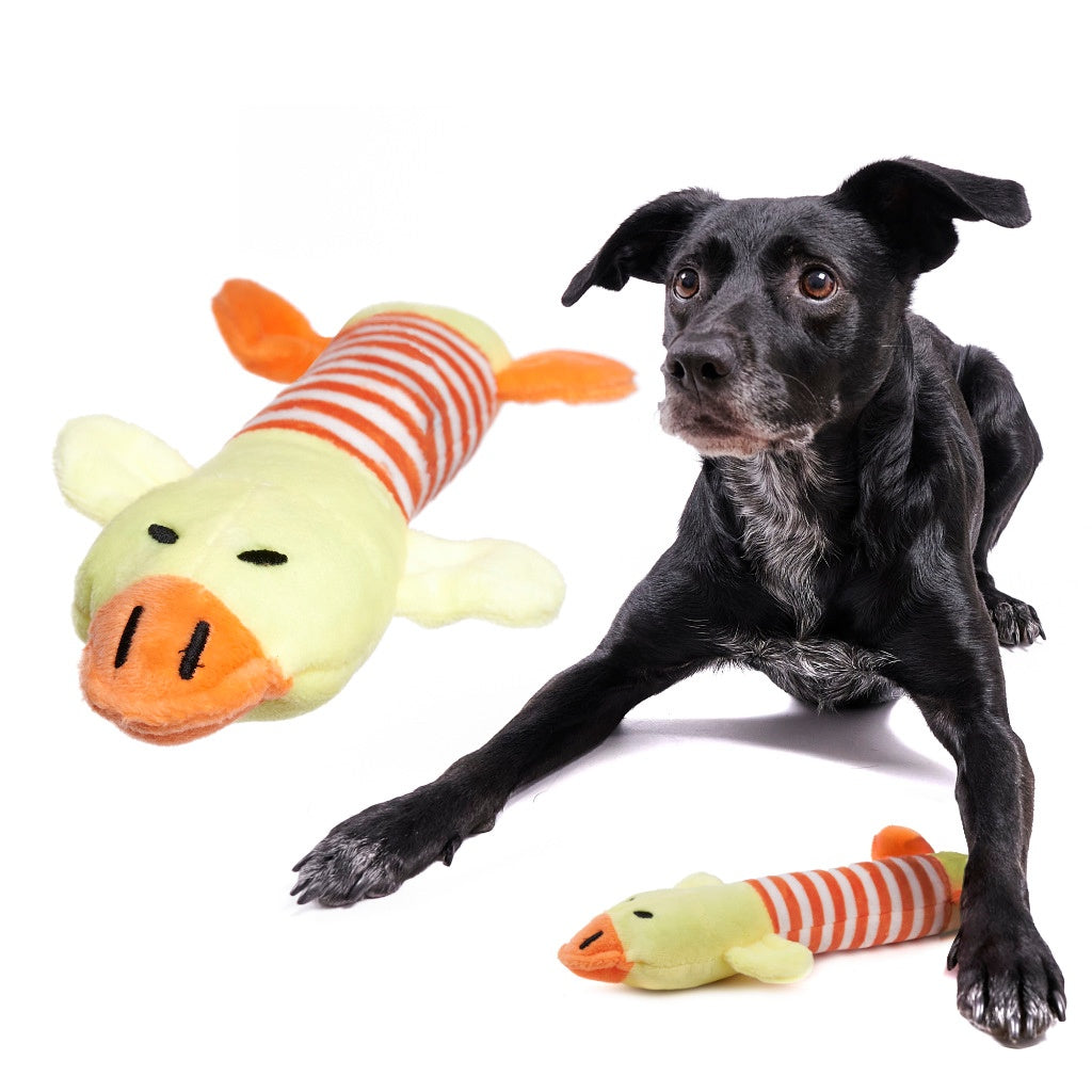 Dog chew toy plush squeaky duck